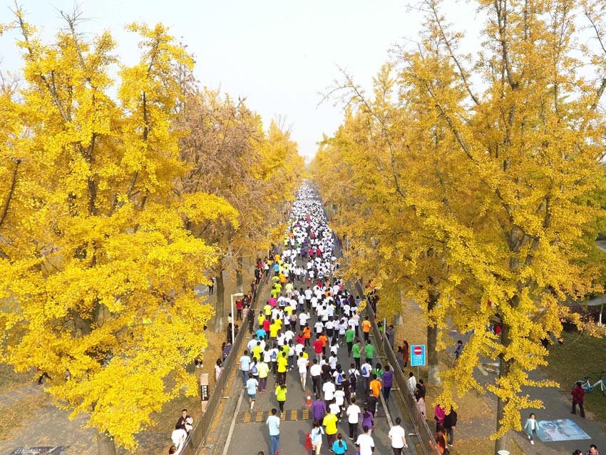 国开中专可以高考吗